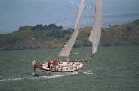 Pelican 3