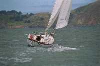 Pelican 4